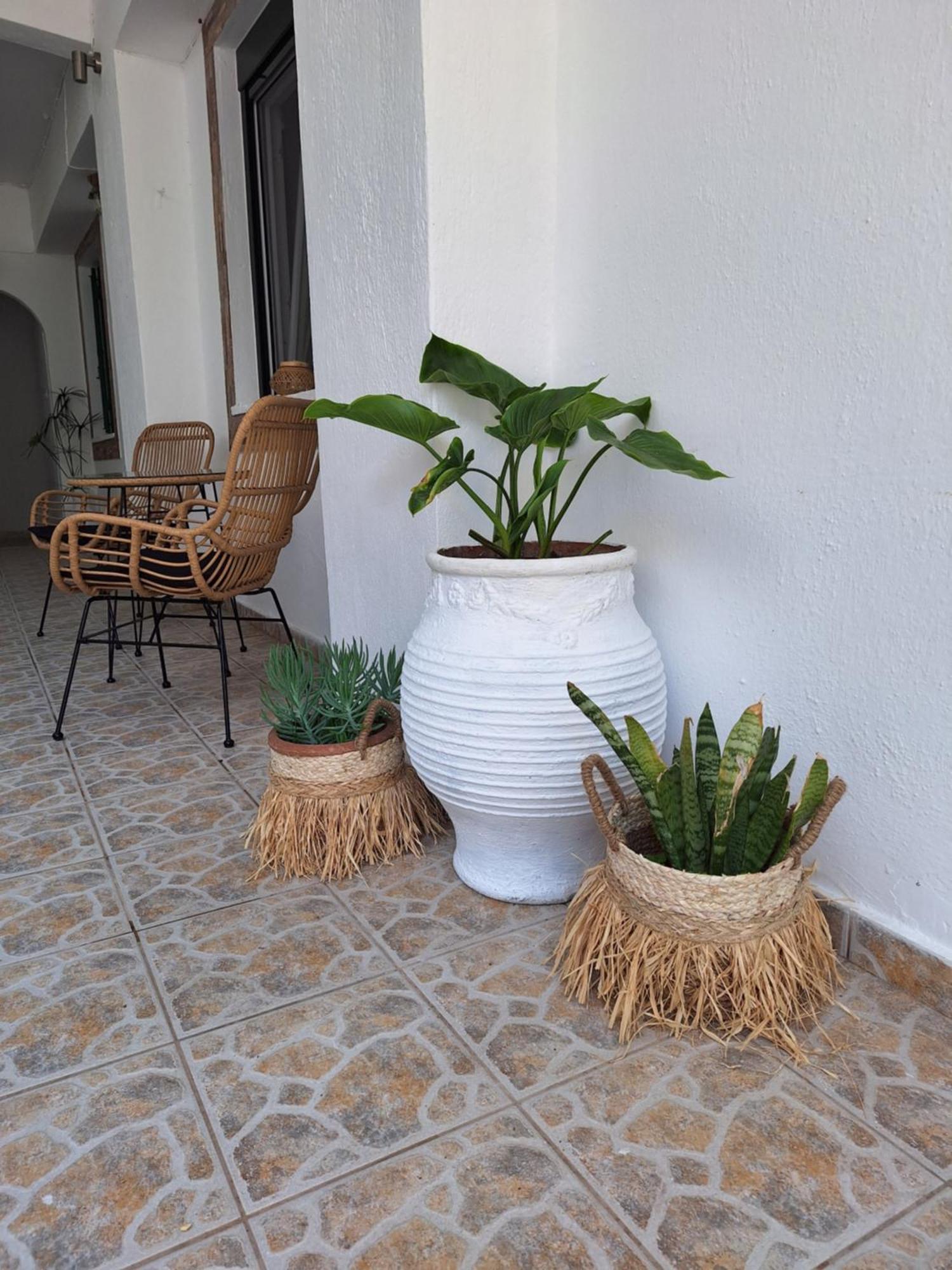 Vithos Appartement Agnontas Buitenkant foto